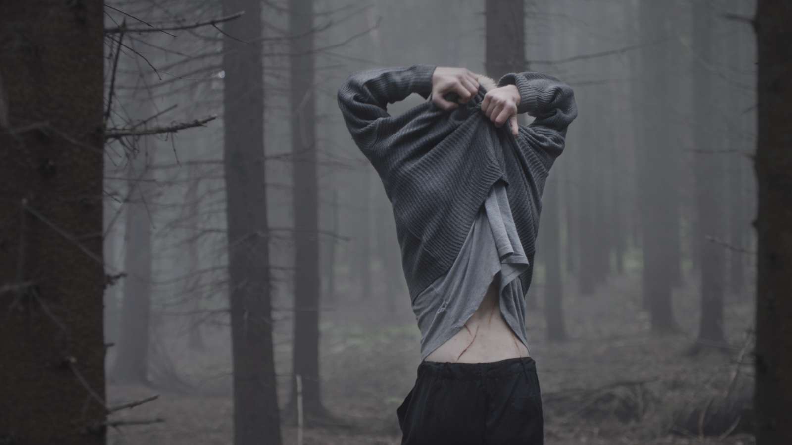 Decentraland screenshot