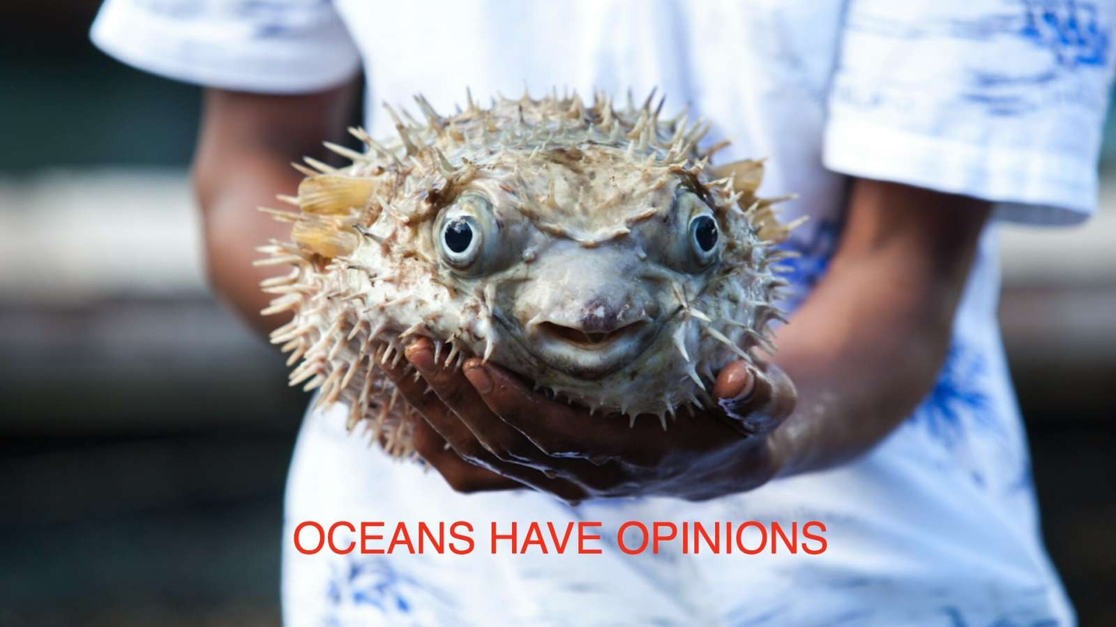 Decentraland screenshot